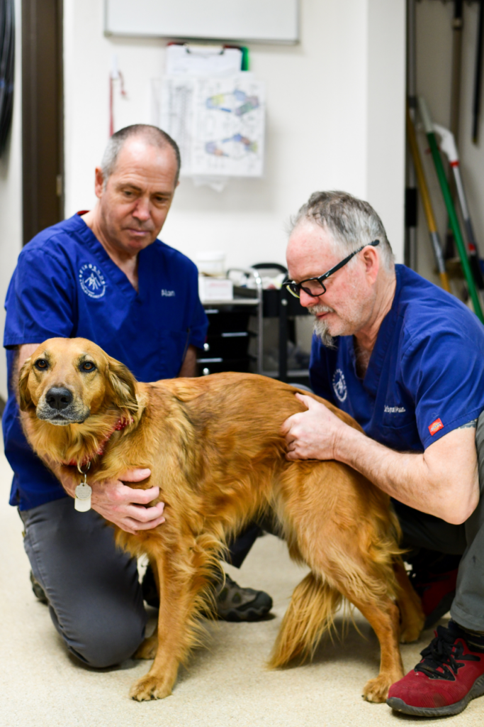 Vets with senior discounts help out our furry friends in Bend.